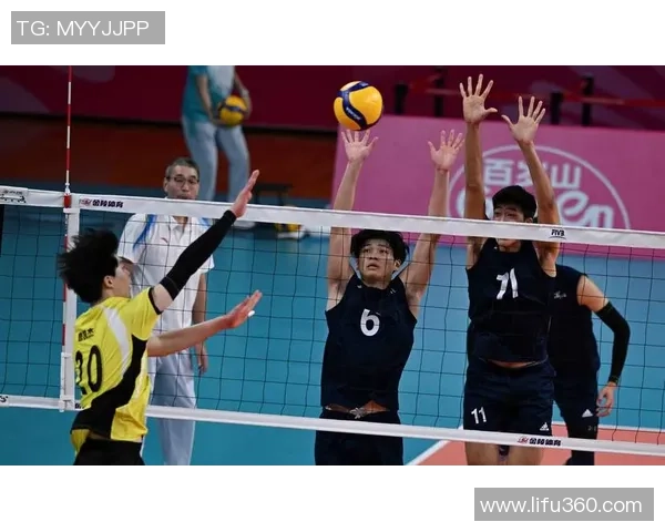 杭州排球队战术创新引领潮流助力排球竞技新高度