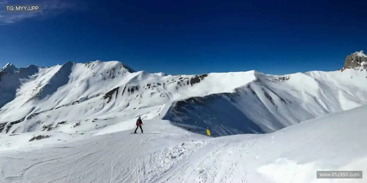 热血赛事，每一秒都值得尖叫！🔥